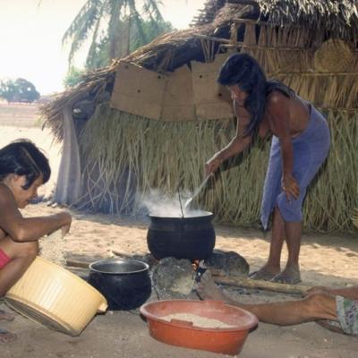 Canelas