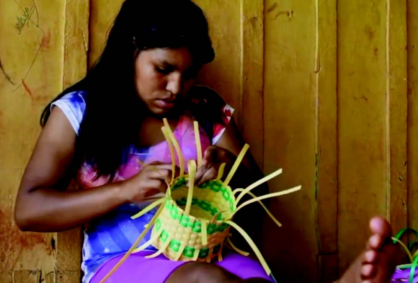 Veredas kaingang - trajetória indigenista