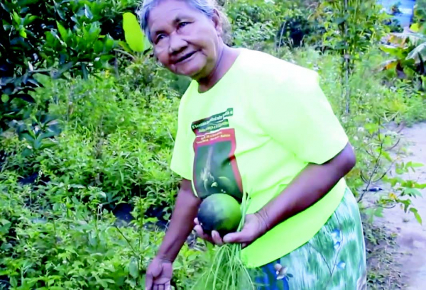 Quintal da Pajé