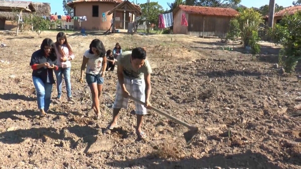 Mbya Avaxy - Semente tradicional Guarani