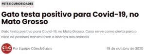 Professora do PPGVet, Profª Drª Valéria Dutra e equipe, detectam primeiro animal de estimação a testar positivo para o novo coronavírus no Brasil.